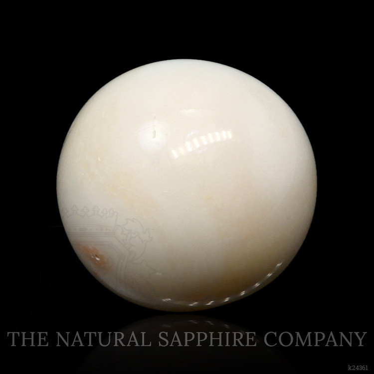 16.65 Ct. Salmon and White Cabochon Coral from Italy