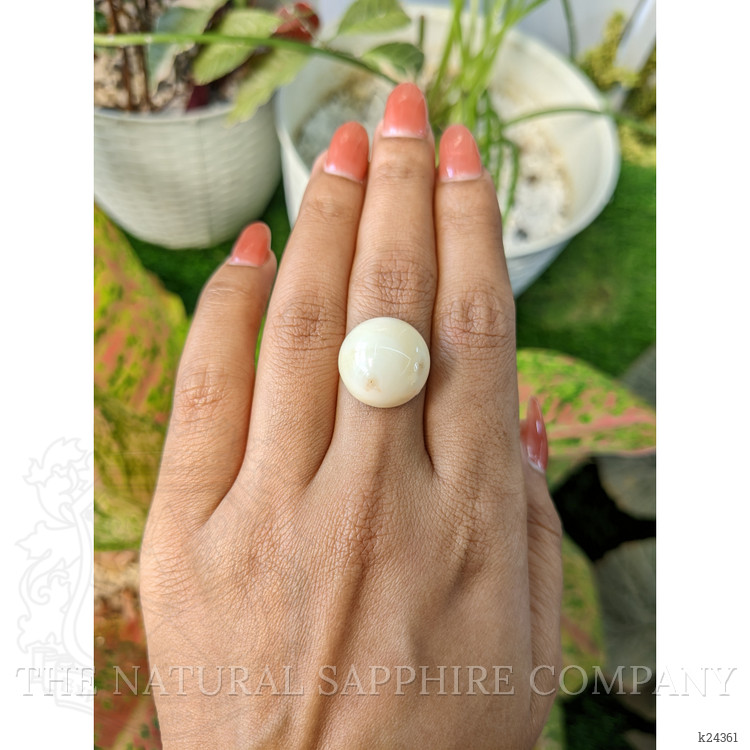 16.65 Ct. Salmon and White Cabochon Coral from Italy