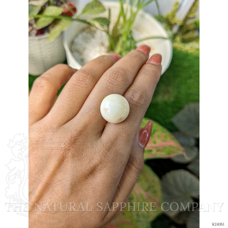 16.65 Ct. Salmon and White Cabochon Coral from Italy