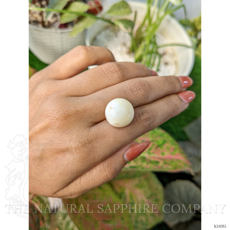 16.65 Ct. Salmon and White Cabochon Coral from Italy