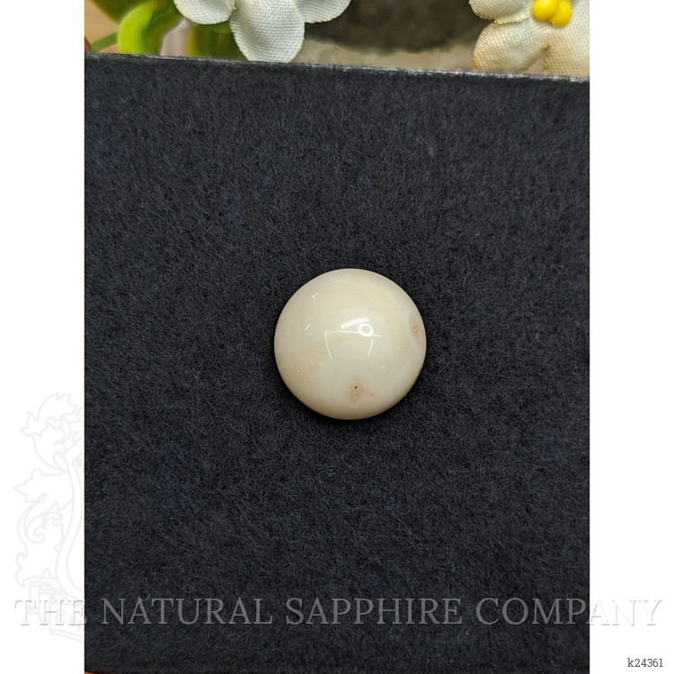 16.65 Ct. Salmon and White Cabochon Coral from Italy