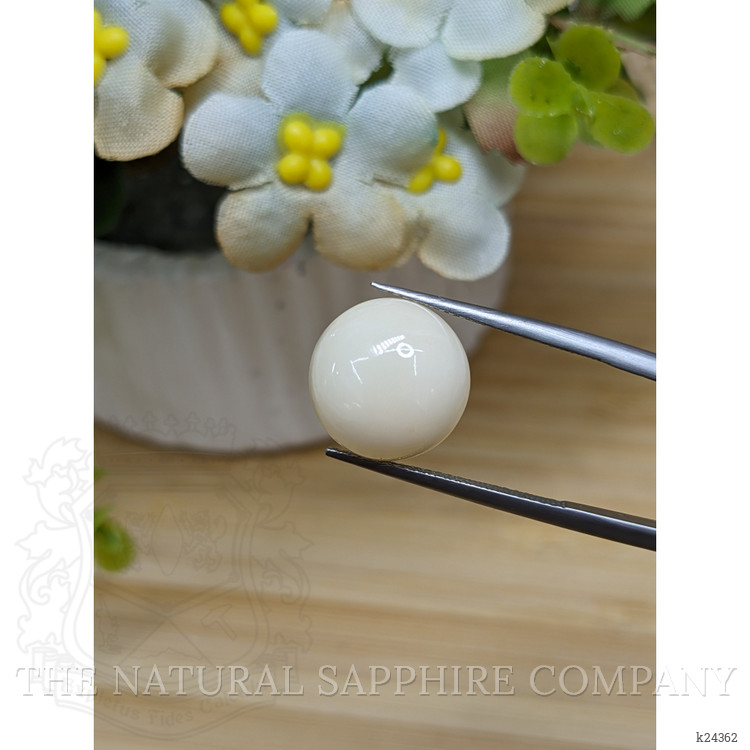 8.41 Ct. Salmon and White Cabochon Coral from Italy