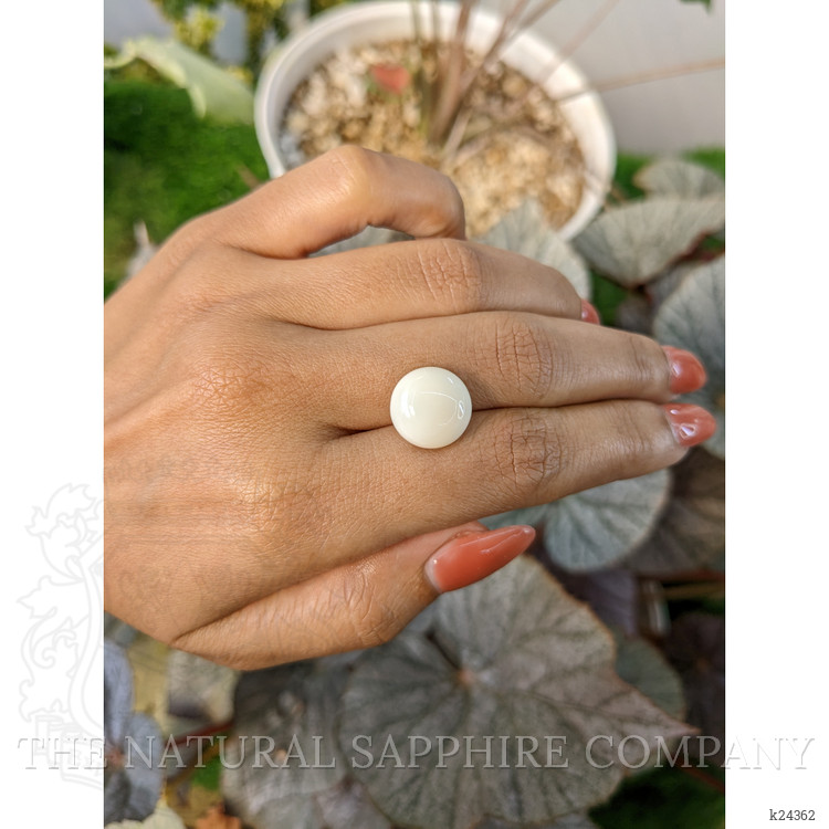 8.41 Ct. Salmon and White Cabochon Coral from Italy