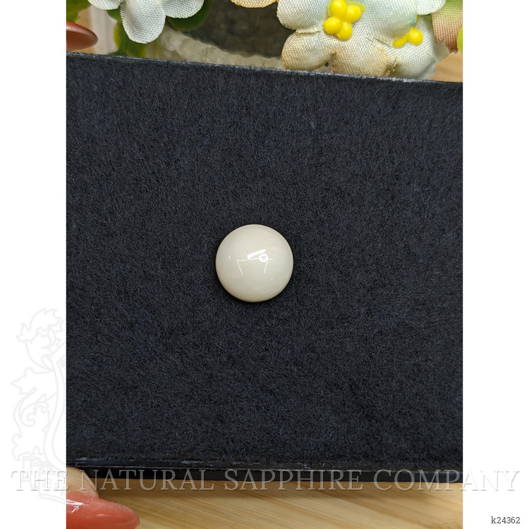 8.41 Ct. Salmon and White Cabochon Coral from Italy