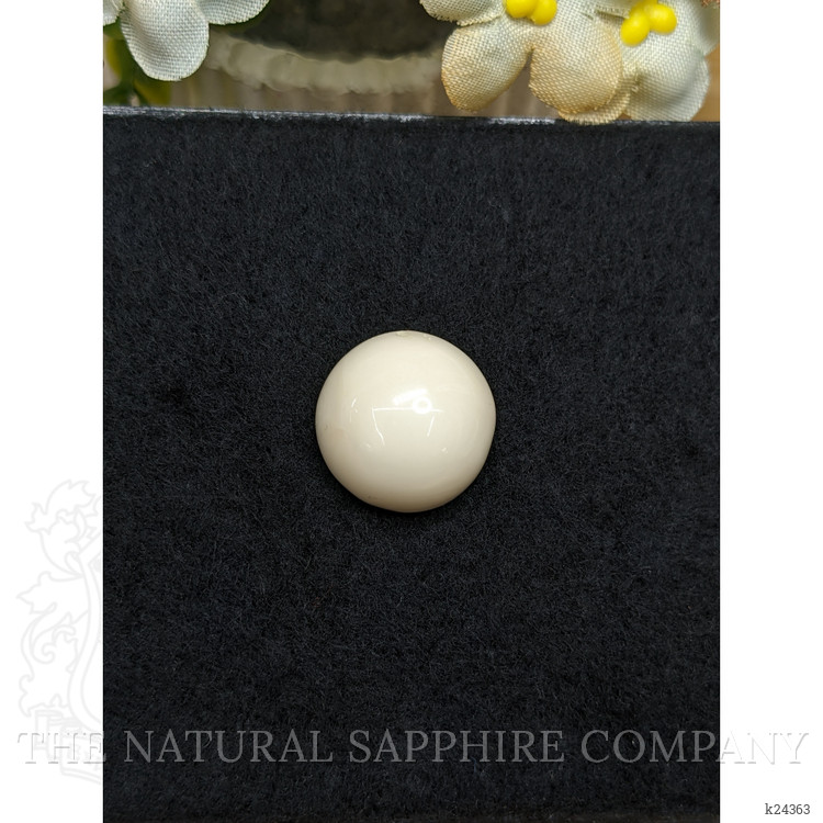 21.60 Ct. Salmon and White Cabochon Coral from Italy