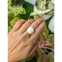 17.38 Ct. Salmon and White Cabochon Coral from Italy Life Style