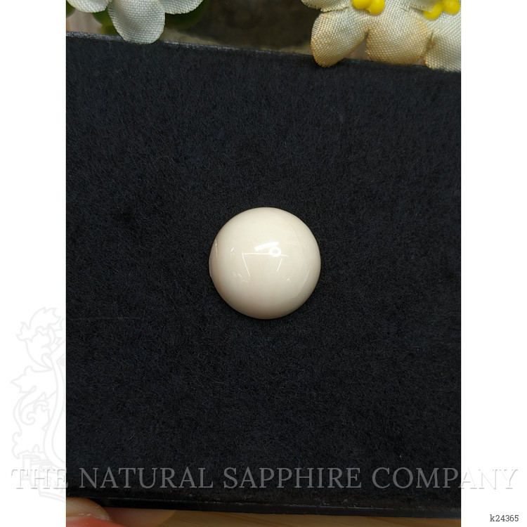 17.38 Ct. Salmon and White Cabochon Coral from Italy