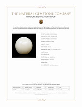 10.63 Ct. Salmon and White Cabochon Coral from Italy Scan Report