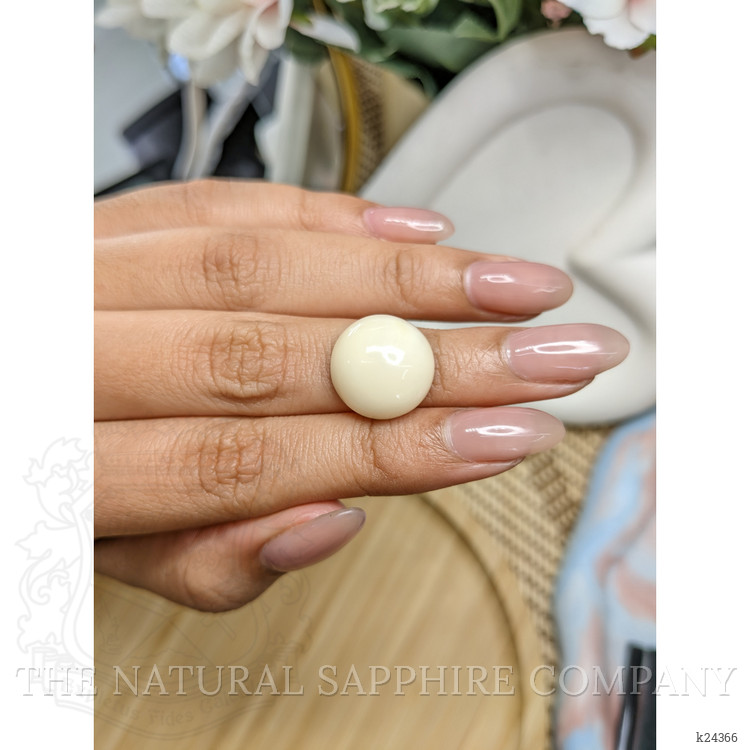 10.63 Ct. Salmon and White Cabochon Coral from Italy