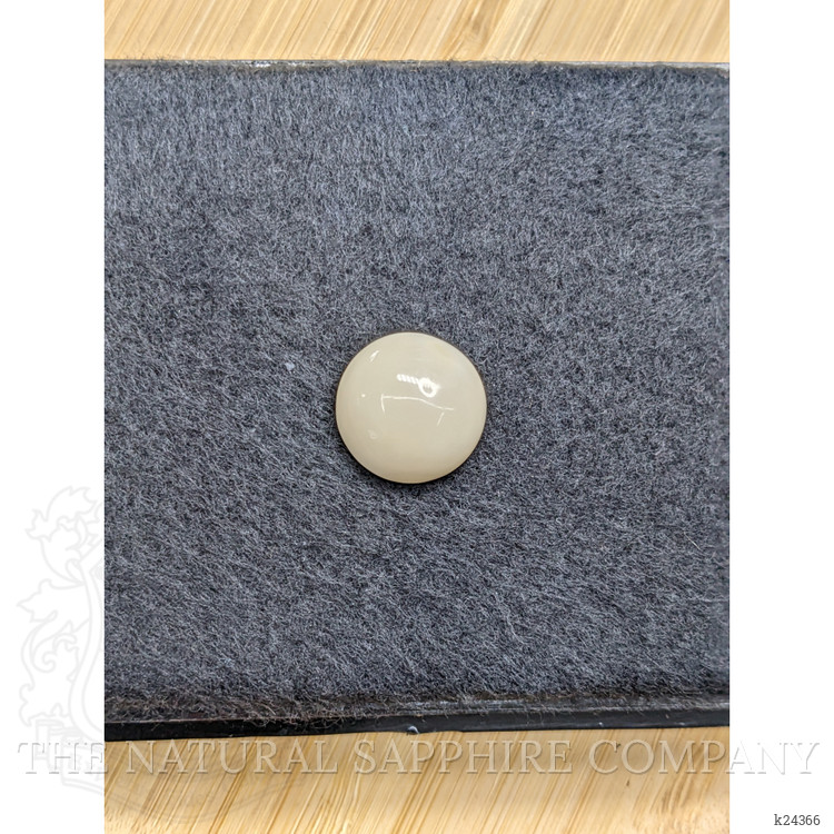 10.63 Ct. Salmon and White Cabochon Coral from Italy