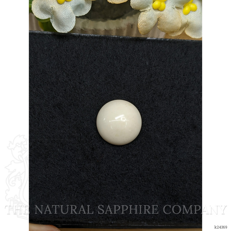 12.08 Ct. Salmon and White Cabochon Coral from Italy