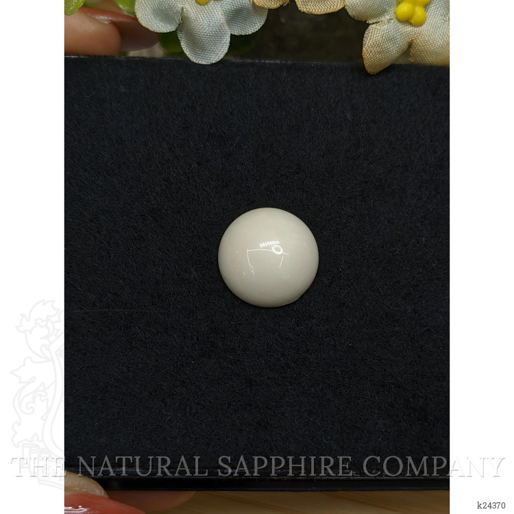 11.09 Ct. Salmon and White Cabochon Coral from Italy