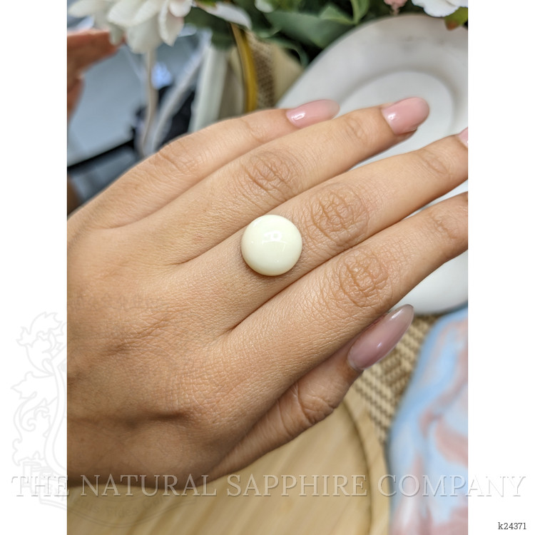 8.31 Ct. Salmon and White Cabochon Coral from Italy