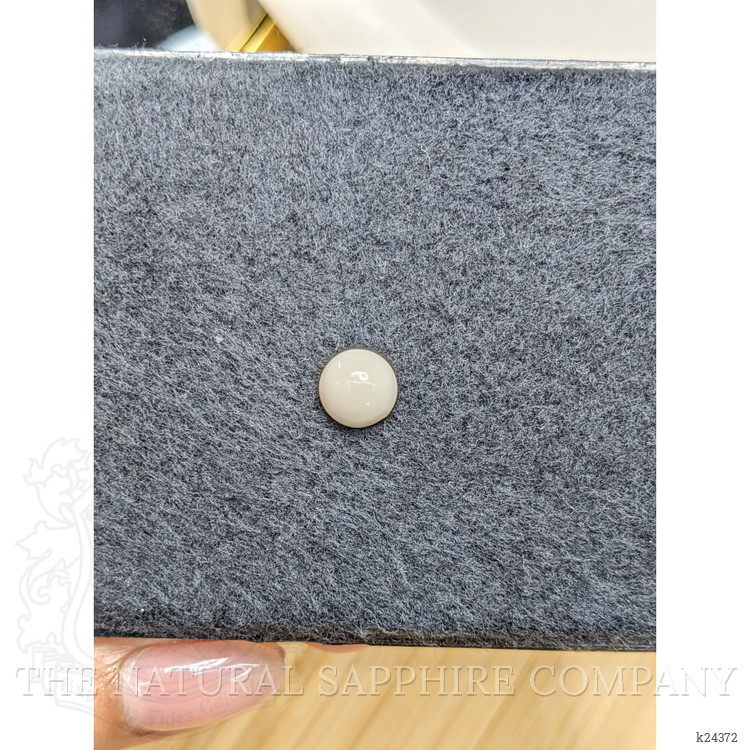 2.64 Ct. Salmon and White Cabochon Coral from Italy
