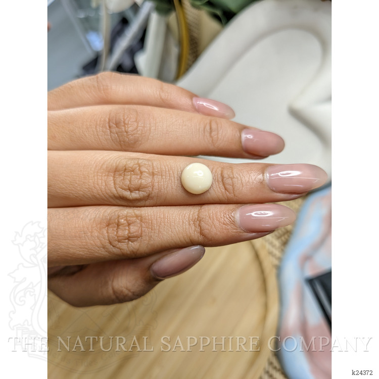 2.64 Ct. Salmon and White Cabochon Coral from Italy