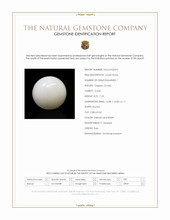 7.23 Ct. Salmon and White Cabochon Coral from Italy Scan Report