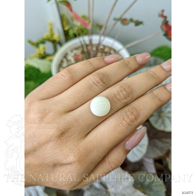 7.23 Ct. Salmon and White Cabochon Coral from Italy