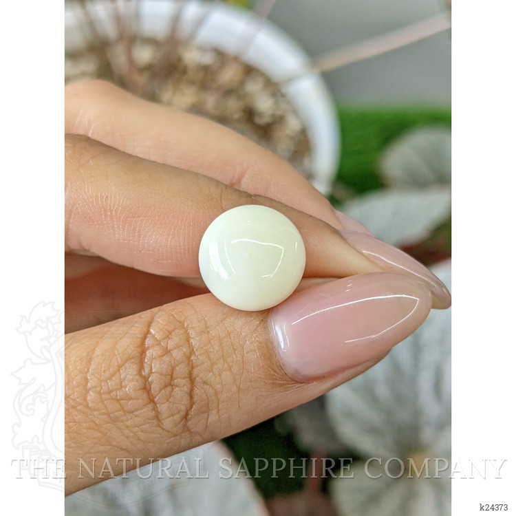 7.23 Ct. Salmon and White Cabochon Coral from Italy