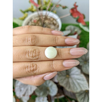 7.23 Ct. Salmon and White Cabochon Coral from Italy Life Style