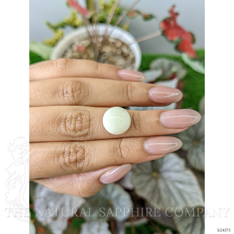 7.23 Ct. Salmon and White Cabochon Coral from Italy
