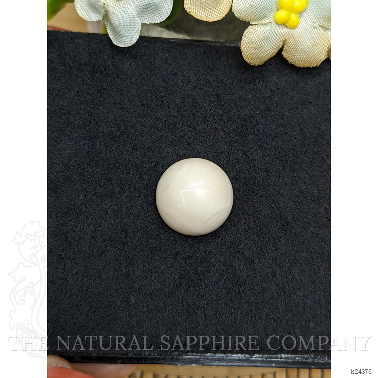 19.91 Ct. Salmon and White Cabochon Coral from Italy