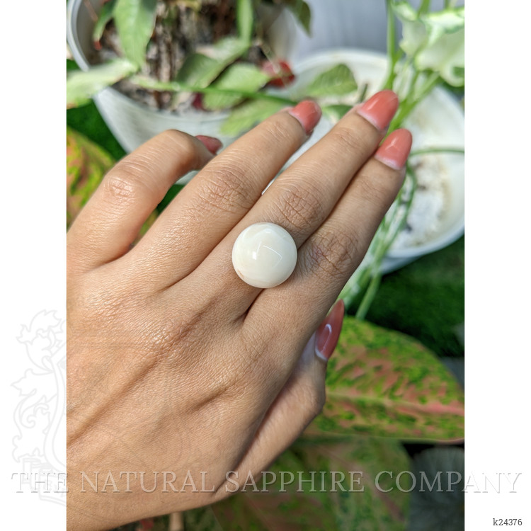 19.91 Ct. Salmon and White Cabochon Coral from Italy