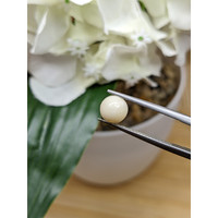 1.52 Ct. Salmon and White Cabochon Coral from Italy Life Style