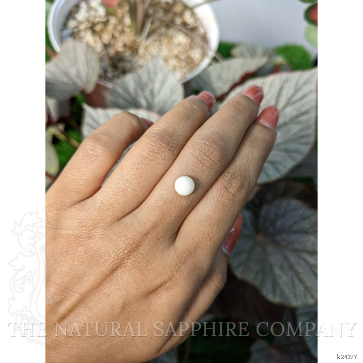 1.52 Ct. Salmon and White Cabochon Coral from Italy