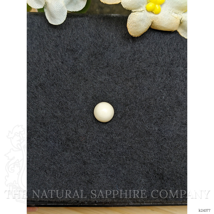 1.52 Ct. Salmon and White Cabochon Coral from Italy