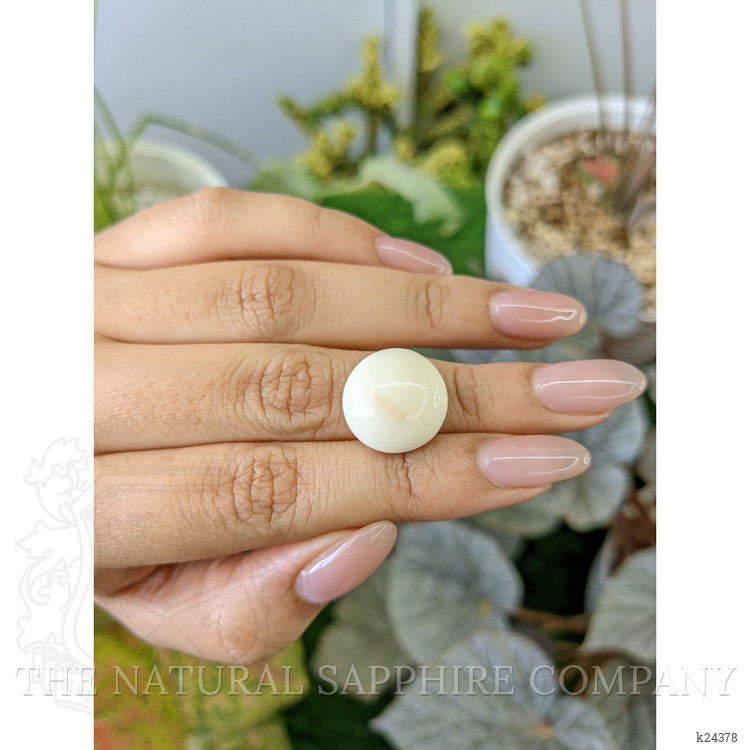 16.49 Ct. Salmon and White Cabochon Coral from Italy