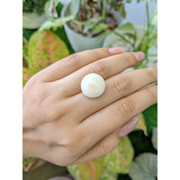 16.49 Ct. Salmon and White Cabochon Coral from Italy Life Style