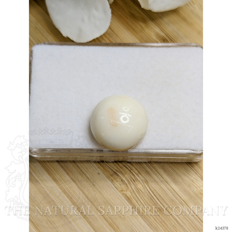 16.49 Ct. Salmon and White Cabochon Coral from Italy