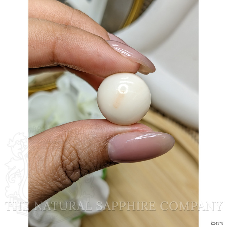 16.49 Ct. Salmon and White Cabochon Coral from Italy