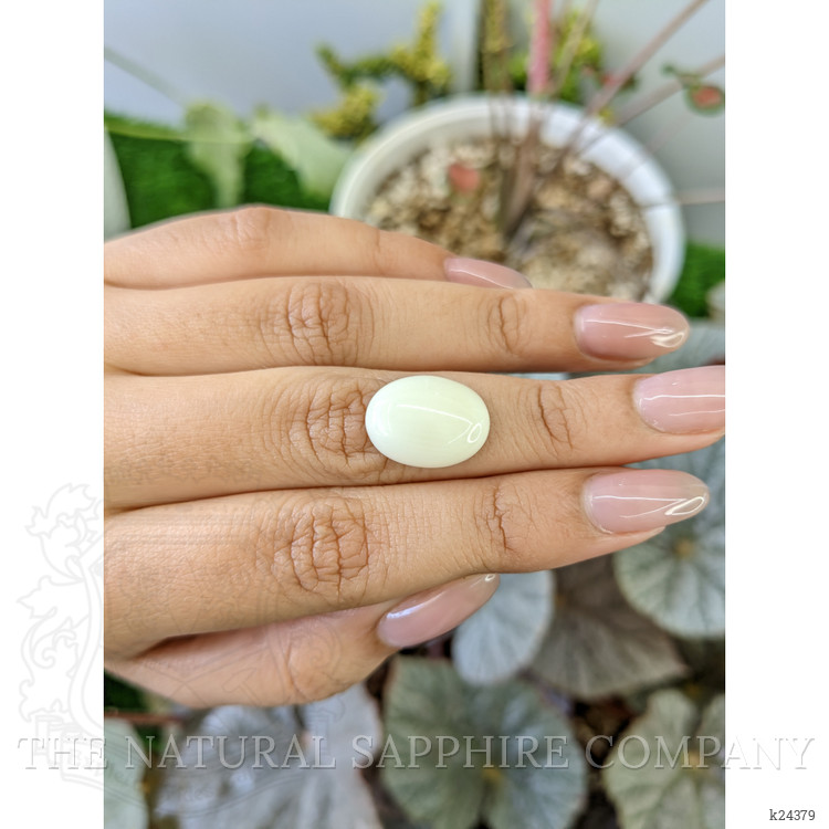 7.86 Ct. Salmon and White Cabochon Coral from Italy
