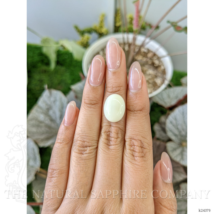 7.86 Ct. Salmon and White Cabochon Coral from Italy