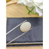 7.86 Ct. Salmon and White Cabochon Coral from Italy Life Style