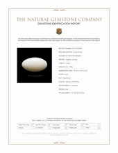 19.80 Ct. Salmon and White Cabochon Coral from Italy Scan Report
