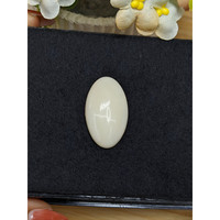 19.80 Ct. Salmon and White Cabochon Coral from Italy Life Style