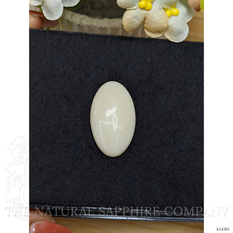 19.80 Ct. Salmon and White Cabochon Coral from Italy
