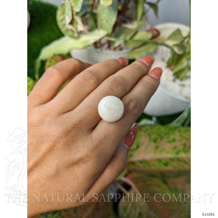 18.70 Ct. Salmon and White Cabochon Coral from Italy