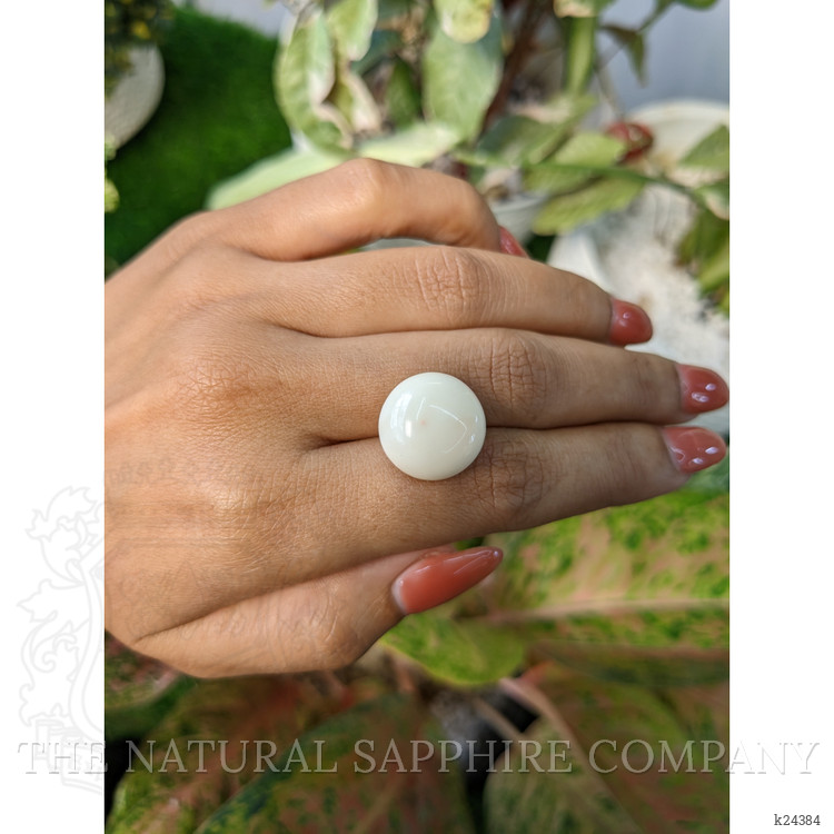18.70 Ct. Salmon and White Cabochon Coral from Italy