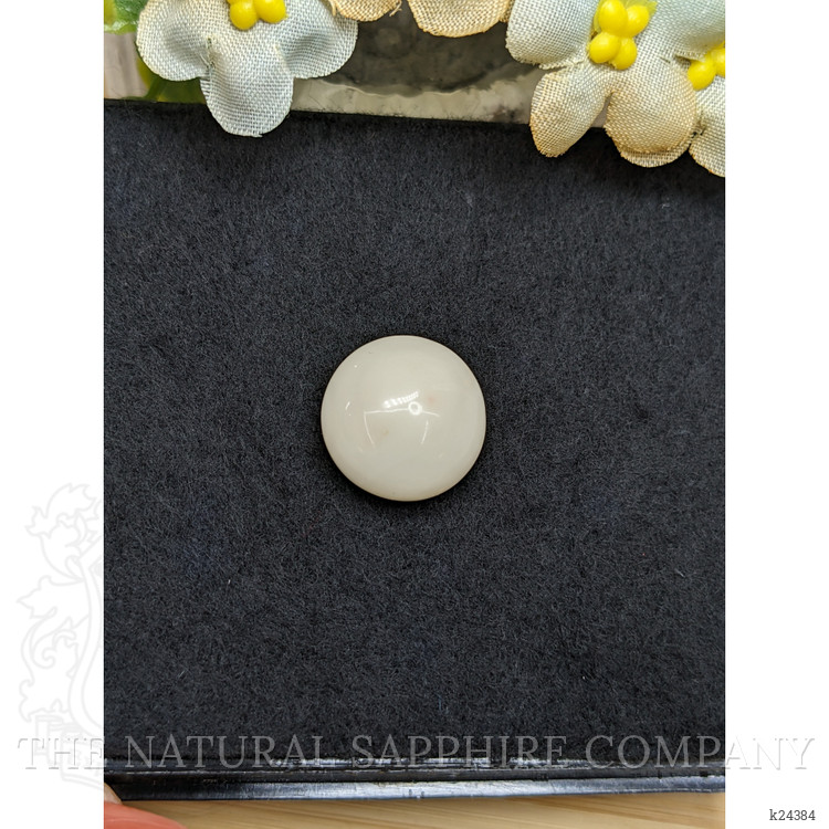 18.70 Ct. Salmon and White Cabochon Coral from Italy