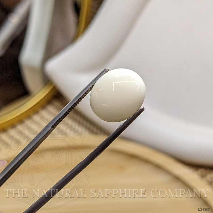 6.06 Ct. Salmon and White Cabochon Coral from Italy