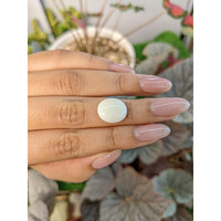 6.06 Ct. Salmon and White Cabochon Coral from Italy Life Style