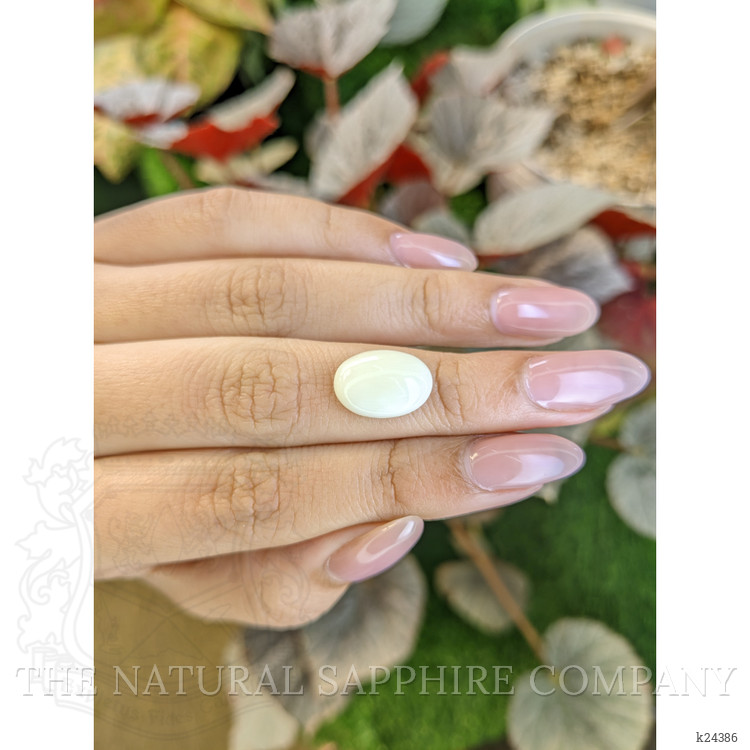 4.28 Ct. Salmon and White Cabochon Coral from Italy