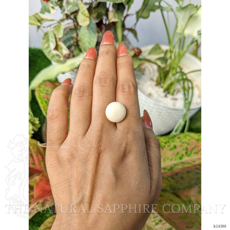 13.08 Ct. Salmon and White Cabochon Coral from Italy