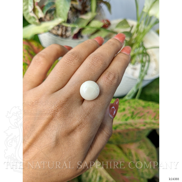 13.08 Ct. Salmon and White Cabochon Coral from Italy