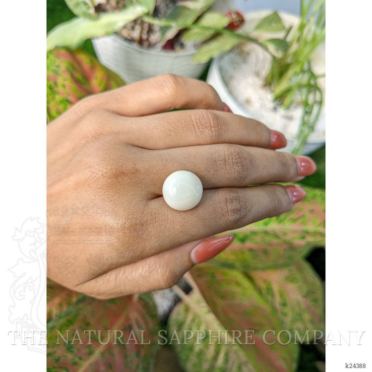 13.08 Ct. Salmon and White Cabochon Coral from Italy