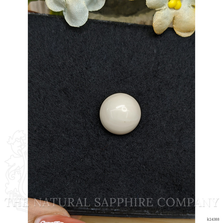 13.08 Ct. Salmon and White Cabochon Coral from Italy