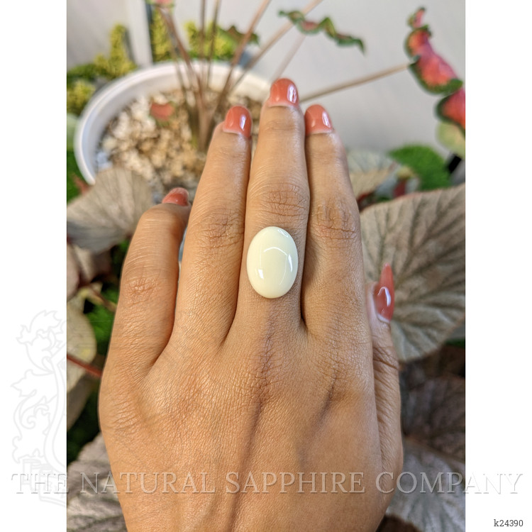 10.76 Ct. Salmon and White Cabochon Coral from Italy